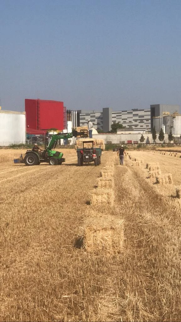 Deutz KEYLINE 65 Özkan Makina uygulama 7