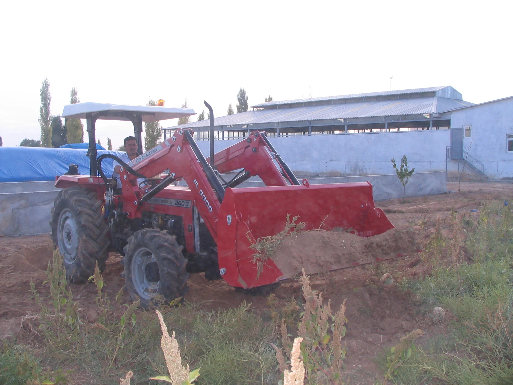 Massey Ferguson 260 G Özkan Makina uygulama 3