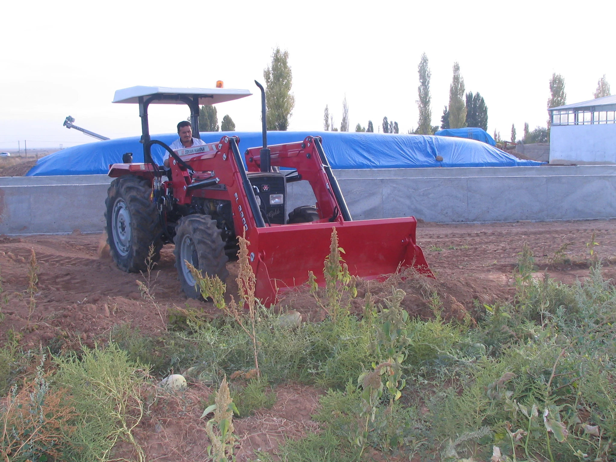 Massey Ferguson 260 G Özkan Makina uygulama 5