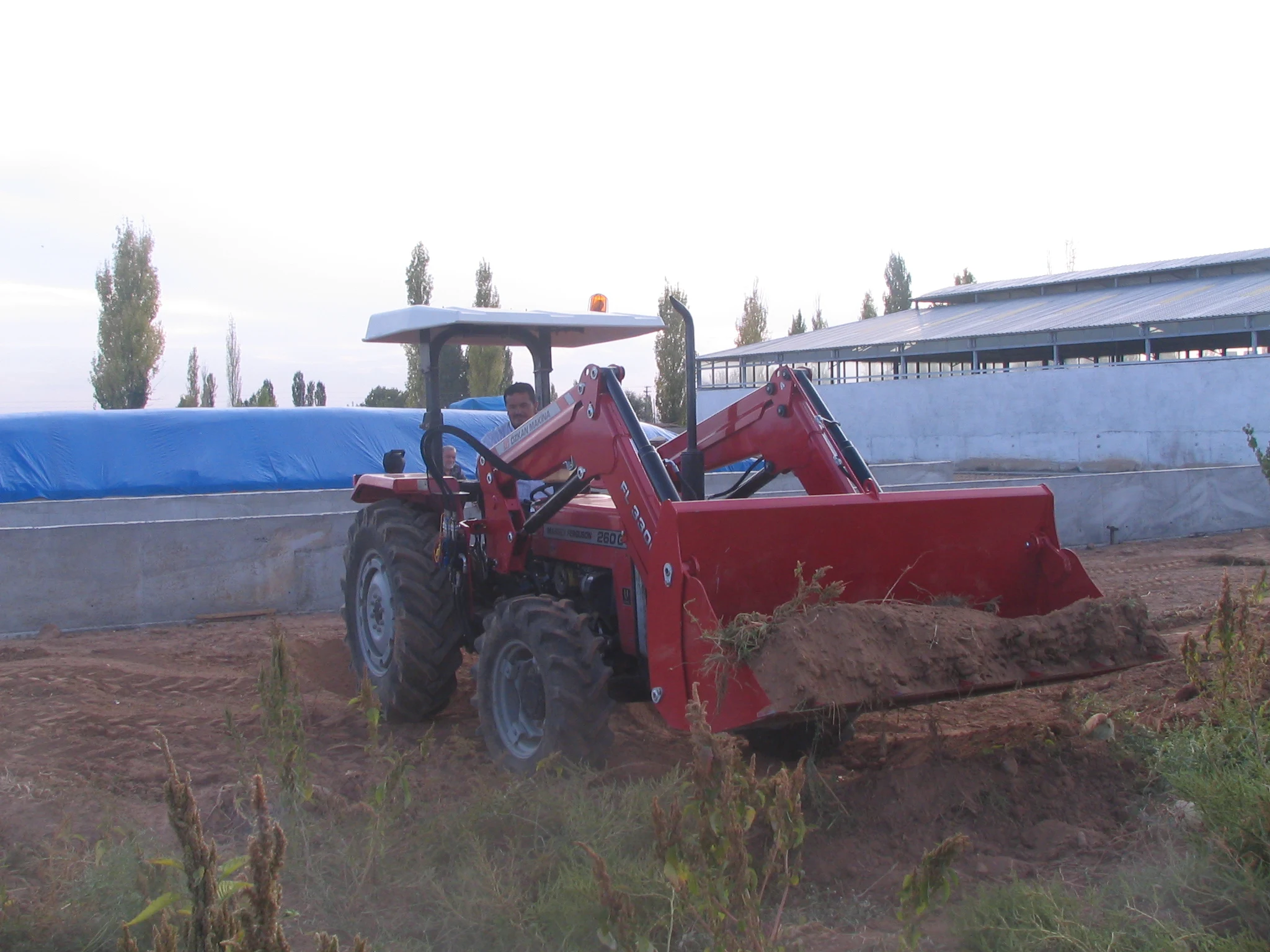 Massey Ferguson 260 G Özkan Makina uygulama 7